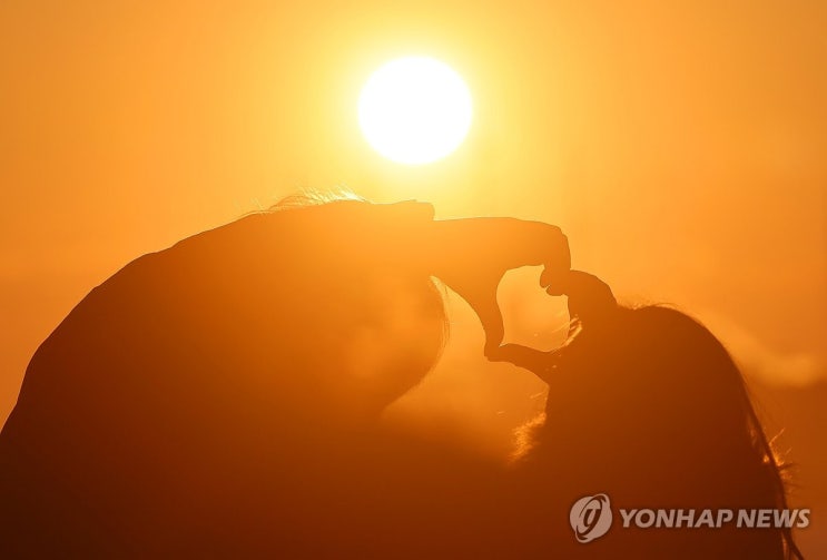 "새해 시작은 삼척에서" 을사년 해맞이 행사 9곳에서 진행
