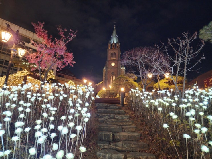  서울 야경 명소 명동성당 야간