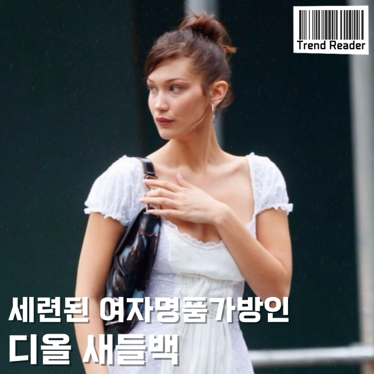  여자명품가방 추천 _ 디올 새들백 연예인 코디 모음zip