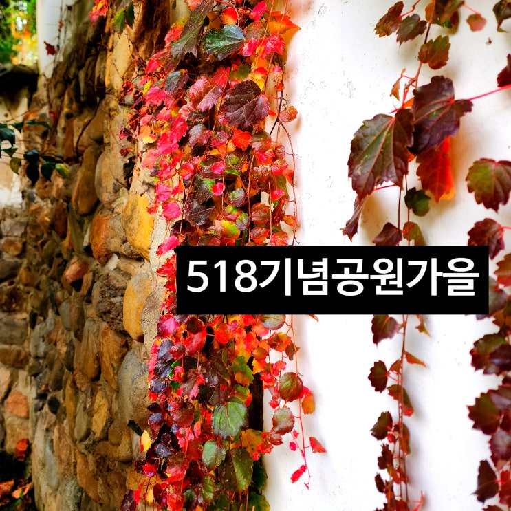 〔전남광주〕광주 5.18기념공원 -가을을 보며 산책-단풍이 이쁜 공원
