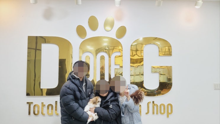  세종 강아지 분양 전문 원독 애견센터 , 운명처럼 만난 시추 공주님!