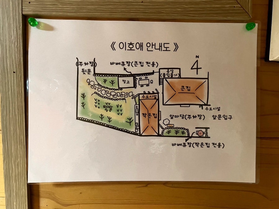 이호애 사진 3