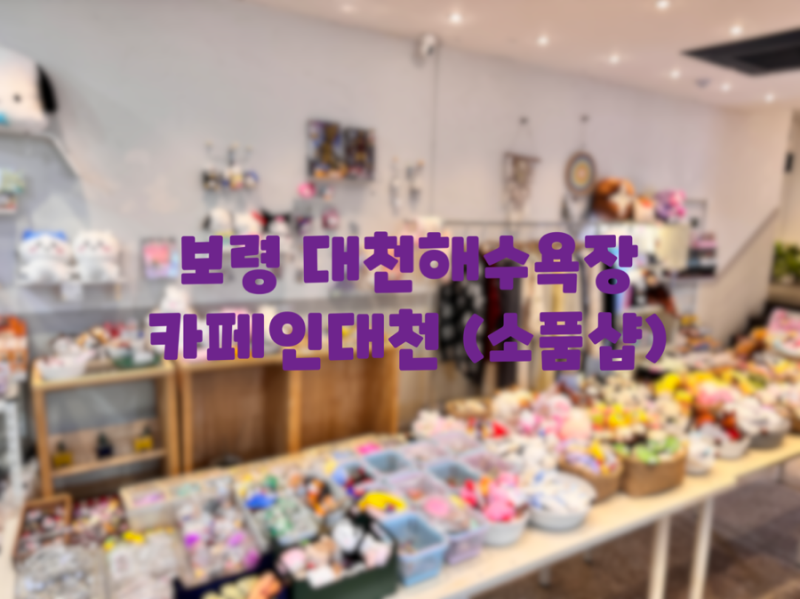 사진 2