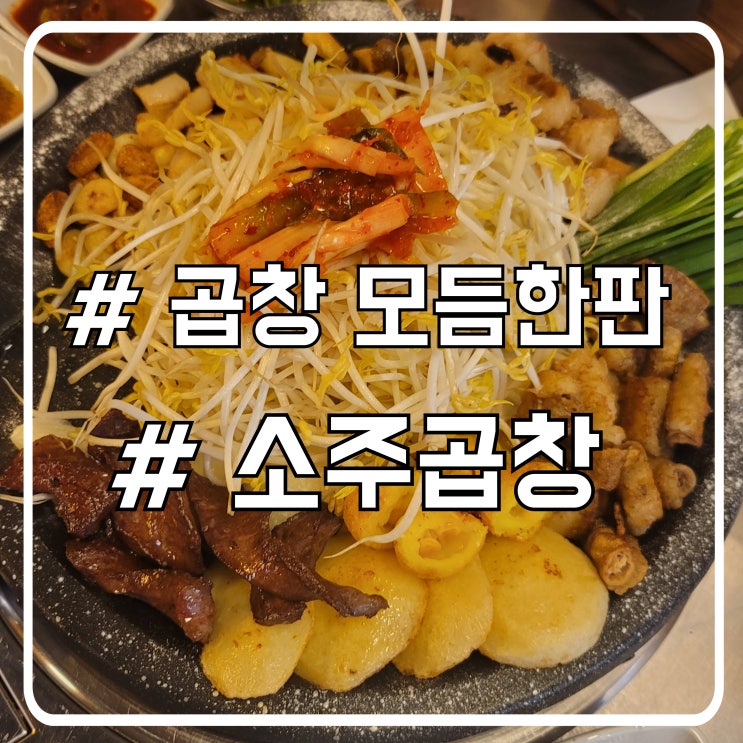  시흥 능곡역 곱창 맛집 잡내 하나도 없는 소주곱창 맛있게 먹는 꿀팁