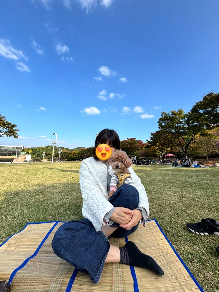  나의반려견 콩이 어느덧13살