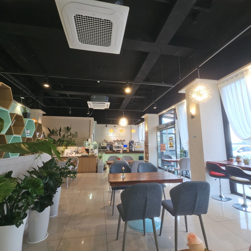 드루아 사진 2