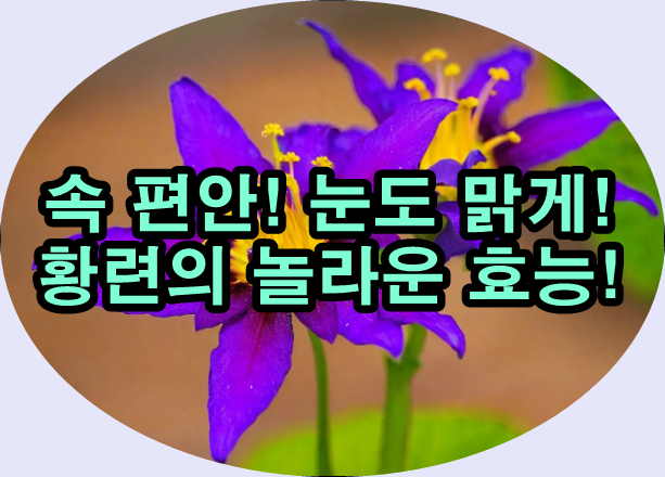  황련차로 건강지키기