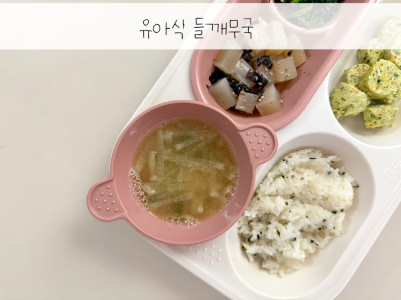 돌아기 두돌아기 유아식 아기 국종류 국추천 들깨무국
