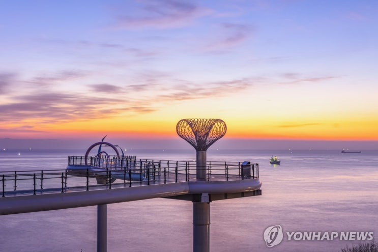 동해시가 여행경비 시원하게 쏜다…"여행하고 돈도 받고"
