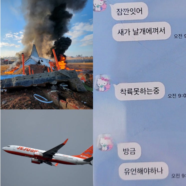 후 <b>연락두절</b>.. 무안 공항 사고 <b>여객기</b> '탑승객 카톡 대화 내용... 