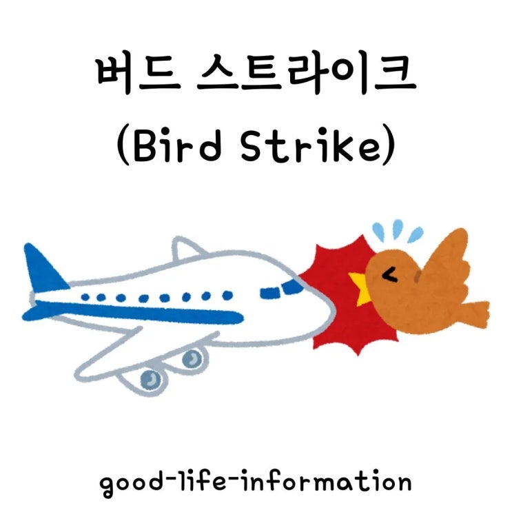 버드 스트라이크(Bird Strike): 항공사들이 두려워하는 이유와 영향 버드 스트라이크(Bird Strike): 항공사들이 두려워하는 이유와 영향