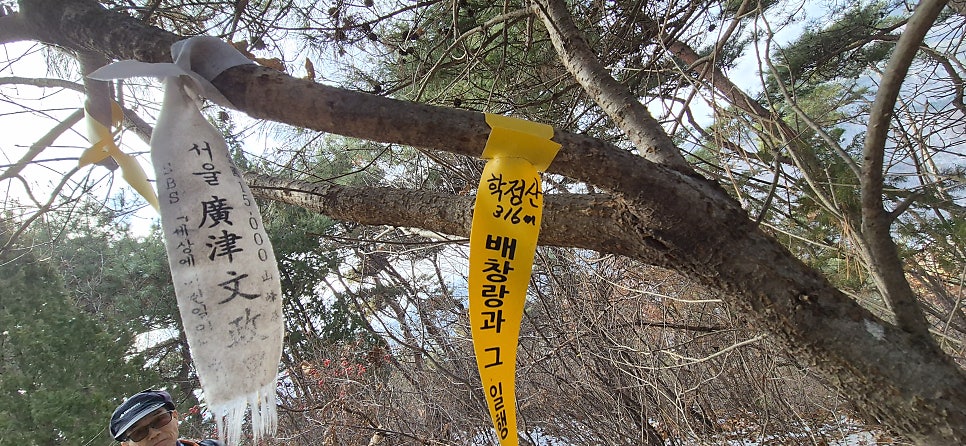 승치산 사진 4
