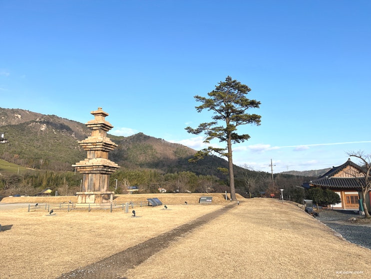 강진여행 가볼만한곳 월남사지 삼층석탑 진각국사비, 무위사 극락보전 강진여행 가볼만한곳 월남사지 삼층석탑 진각국사비, 무위사 극락보전