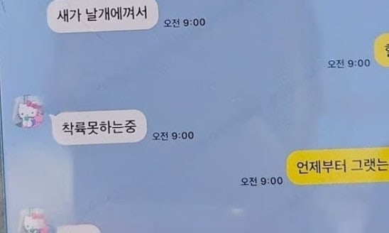 무안공항사고 속보 132 사망 무안공항사고 속보 132 사망