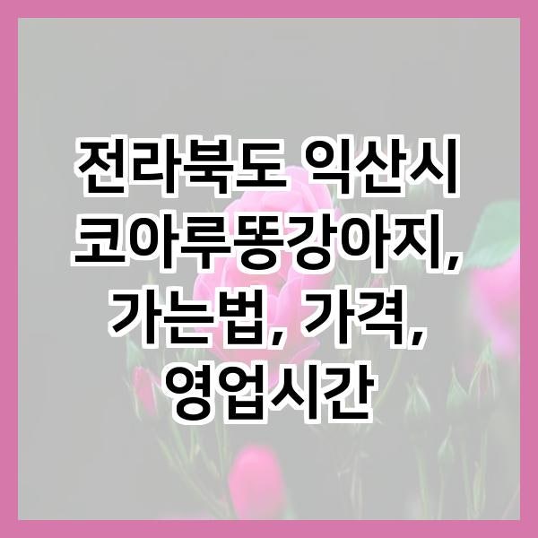 사진 2