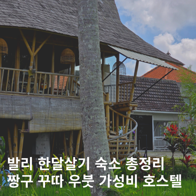  발리 한달살기 숙소 총정리 혼자여행 가성비 호스텔