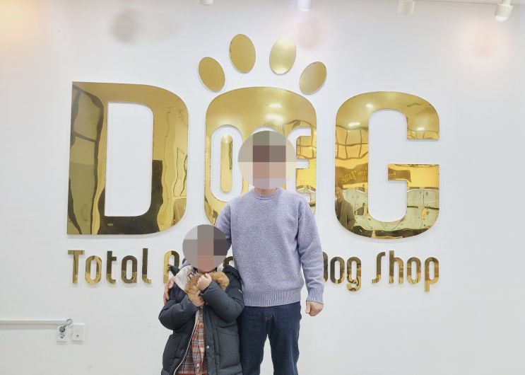  세종시 토이푸들 강아지 분양 , 첫째 아이와의 특별한 만남