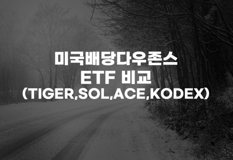  미국배당다우존스 4社(TIGER,SOL,ACE,KODEX) 비교 주식 주가 배당 운용보수 타미당 솔미당