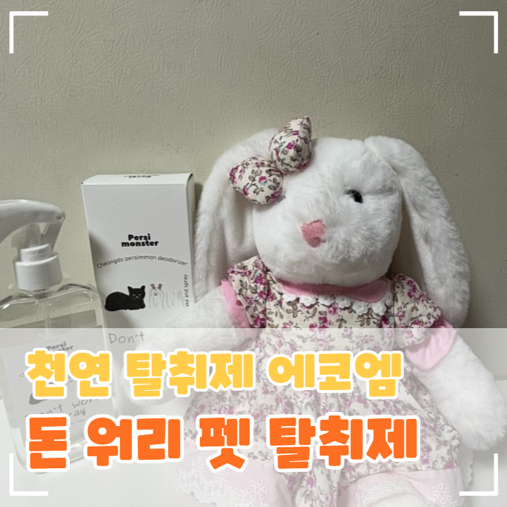 사진 2