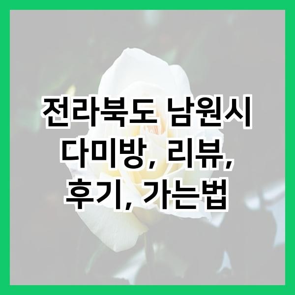 다미방 사진 1