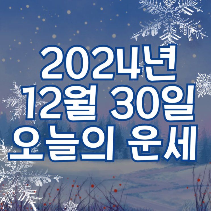  2024년 12월 30일 운세 오늘의운세 띠별운세