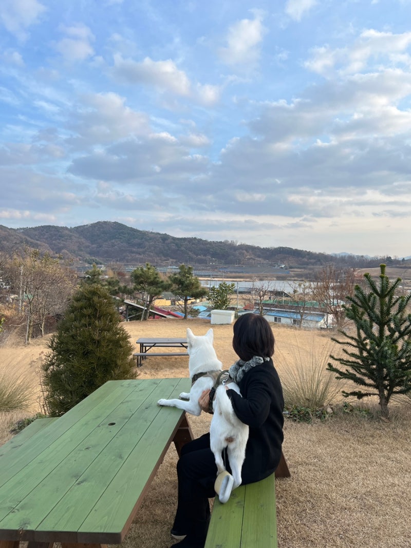 사진 7