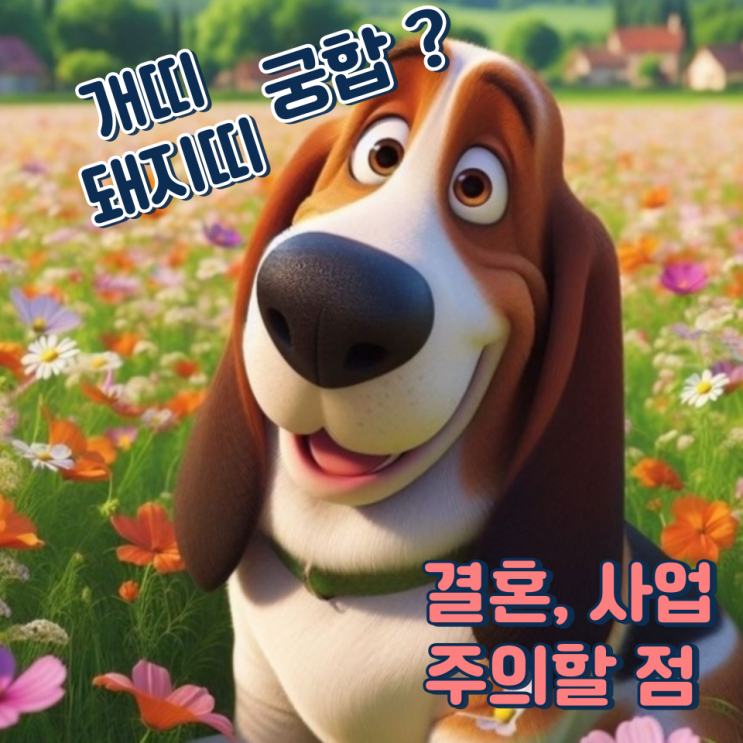 개띠 돼지띠 궁합 (결혼, 사업, 주의할 점)