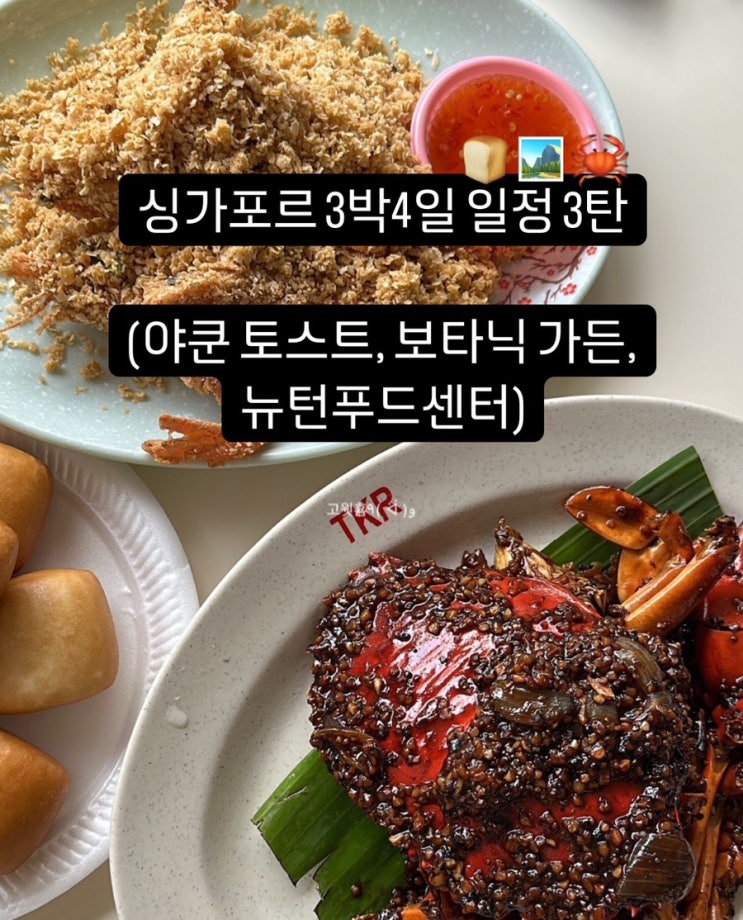  싱가포르 3박 4일 일정 3탄 (야쿤토스트, 보타닉가든, 보타닉가든 입장료, 뉴턴 푸드센터 27번집, 싱가포르 칠리크랩 맛집 추천)