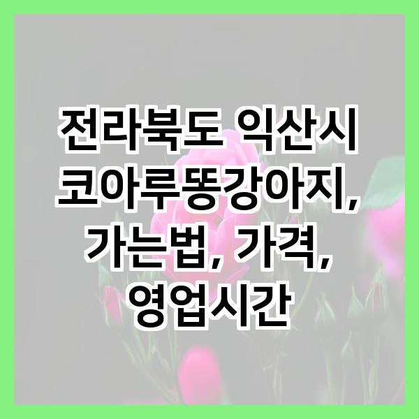 코아루똥강아지
