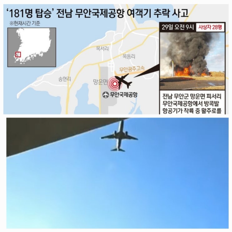 버드스트라이크 뜻 위험성 사례들 버드스트라이크 뜻 위험성 사례들