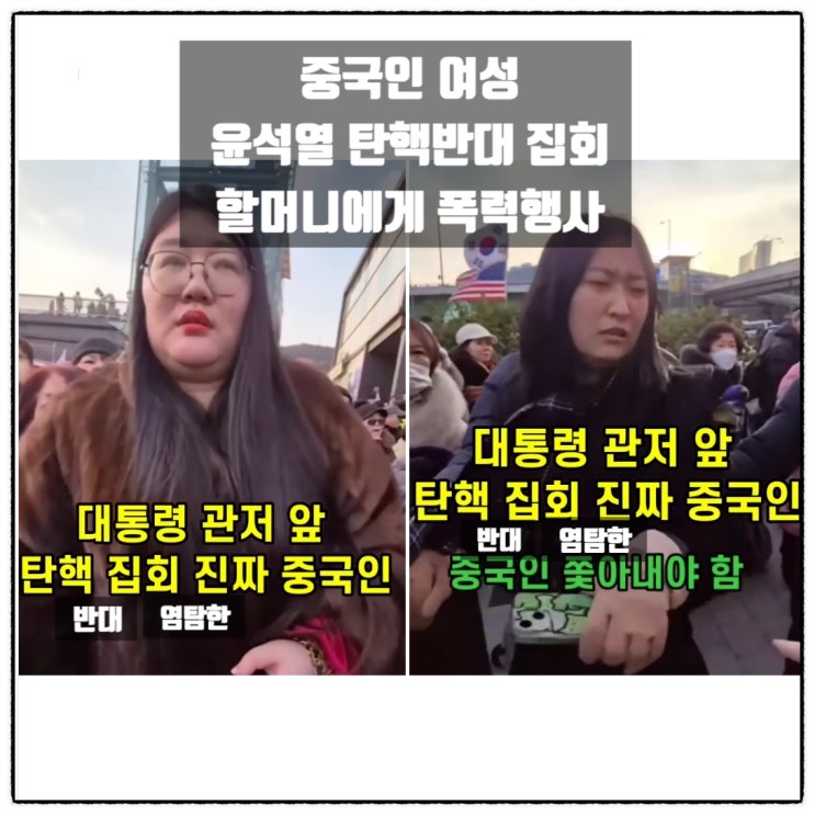 중국인 여성들 윤석열 탄핵반대 집회 염탐 그리고 참석자 할머니에게 폭력행사 중국인 여성들 윤석열 탄핵반대 집회 염탐 그리고 참석자 할머니에게 폭력행사