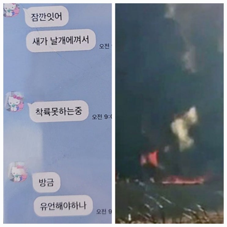 무안공항 여객기 추락사고 승객 카톡 "새가 날개에 껴서 착륙 못하는 중" 무안공항 여객기 추락사고 승객 카톡 "새가 날개에 껴서 착륙 못하는 중"