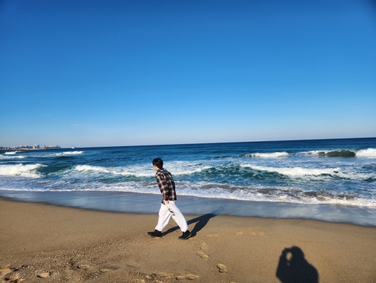  겨울 별미 겨울바다