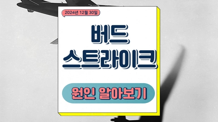 버드스트라이크 뜻 항공기에 미치는 영향 방지책 허드슨 강의 기적