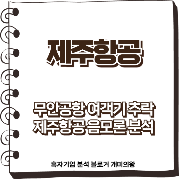 제주항공 주가 전망 : <b>무안공항 여객기 추락</b> 음모론 분석
