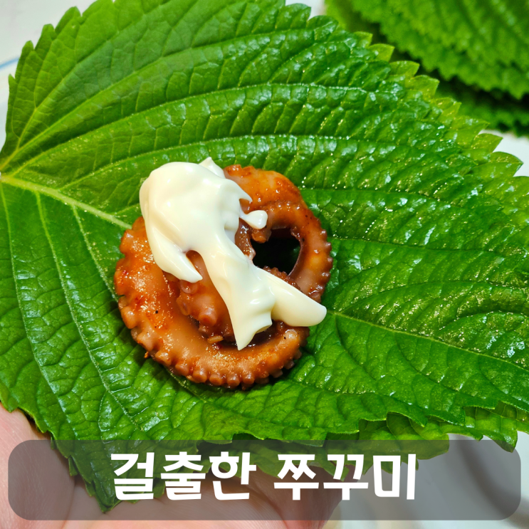  감칠맛 넘치는 매운맛! 걸출한 쭈꾸미 볶음 리뷰