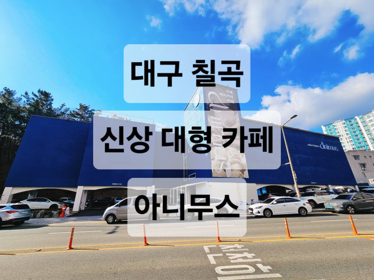  대구 칠곡 태전동 신상 대형 베이커리카페  아니무스 주말 방문 후기