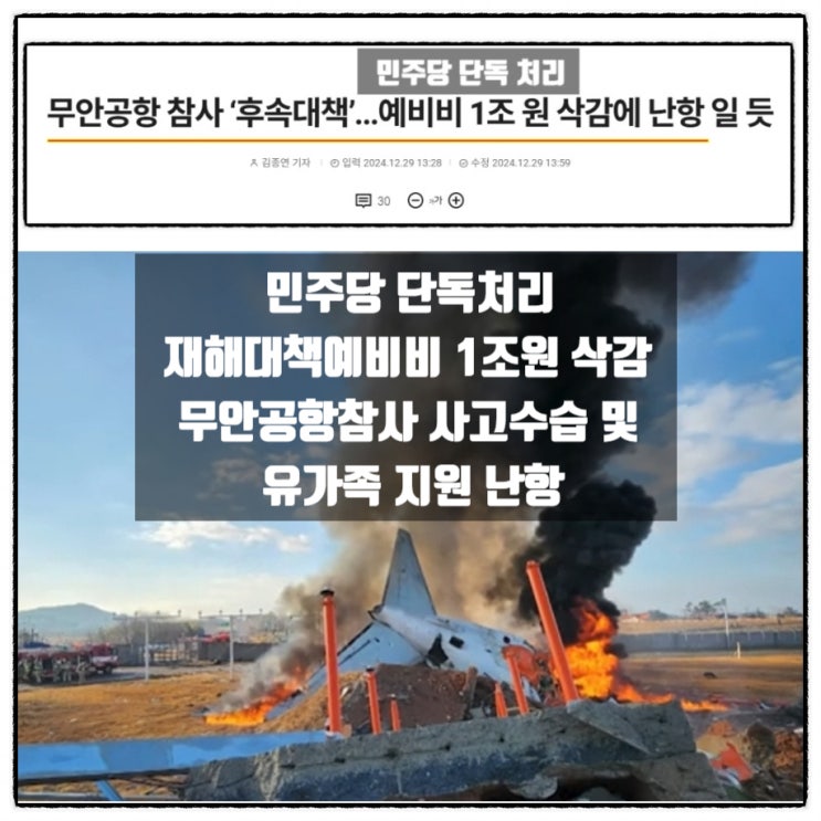 민주당 단독처리 재해대책 예비비 1조원삭감 제주항공 무안공항참사 유가족지원 난항 민주당 단독처리 재해대책 예비비 1조원삭감 제주항공 무안공항참사 유가족지원 난항