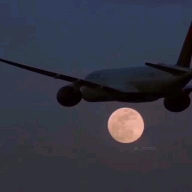  [영상] 무안공항 제주항공 사고 총 정리