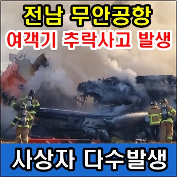 전남 <b>무안공항 여객기 추락</b>사고 발생 사상자 다수 발생