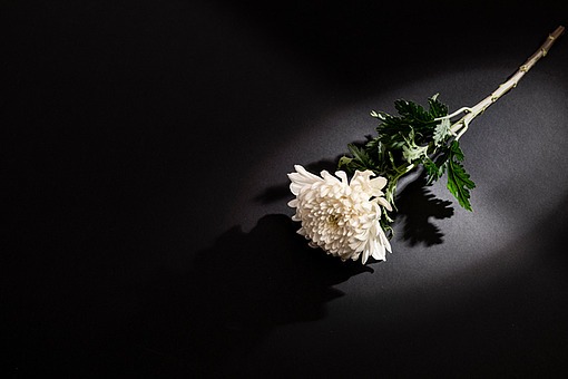  삼가 고인(故人)의 명복(冥福)을 빕니다