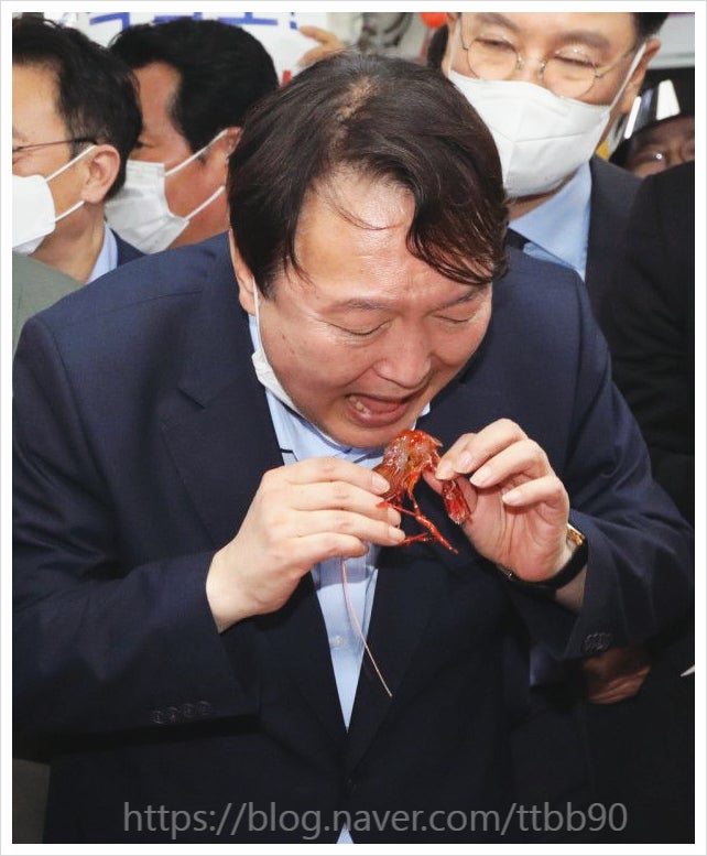 윤석열 대통령 체포영장 공수처 내란죄 직권남용 소환통보 공조수사본부 서울서부지법 관저 변호인선임계 불출석사유서 형사소송법 피의자 수사권 경호일정