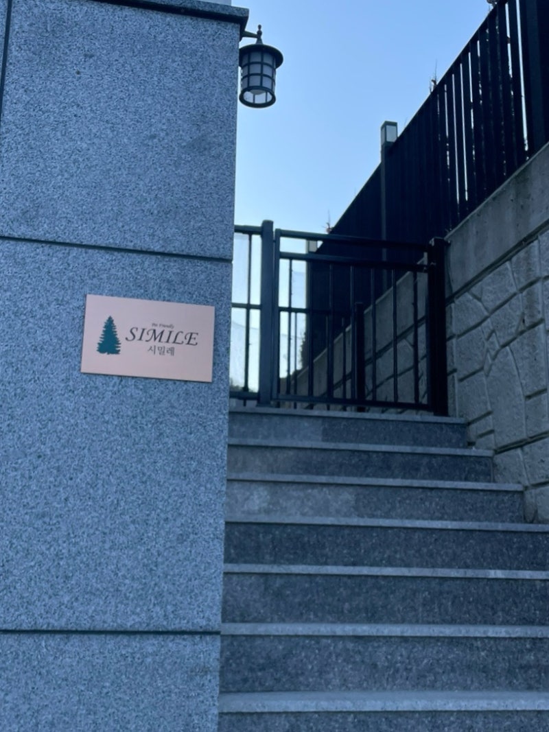 사진 9