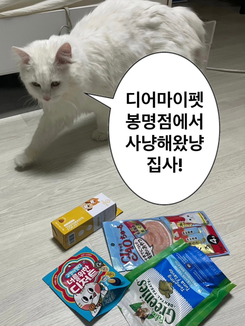 사진 8