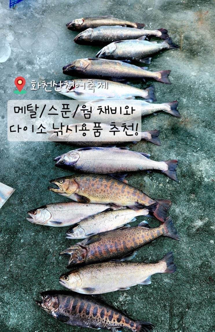  산천어얼음낚시 메탈/스푼/웜 미끼 다이소 낚시용품 추천