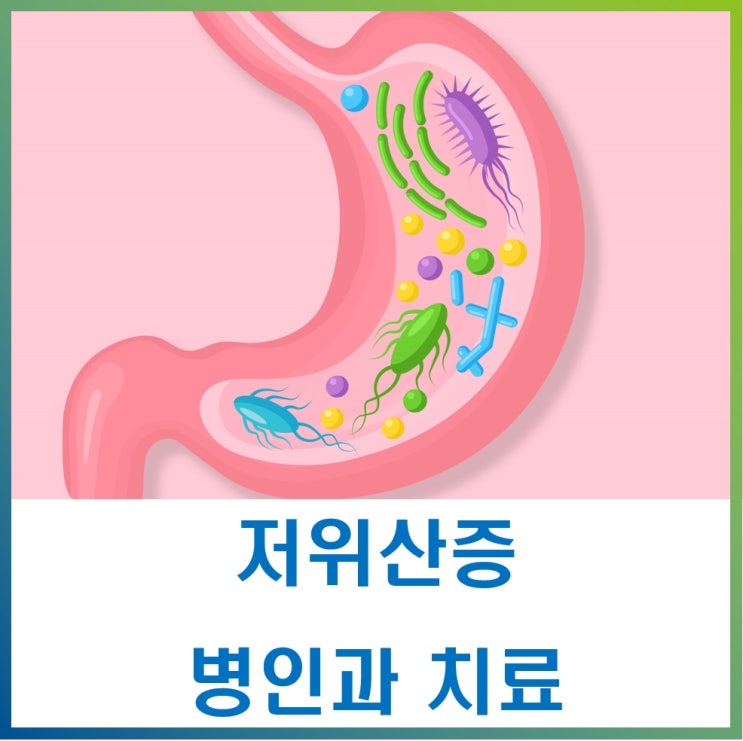  위산 분비 감소 저위산증과 위 건강 관리의 중요성,Gastropanel 검사와 L-시스테인
