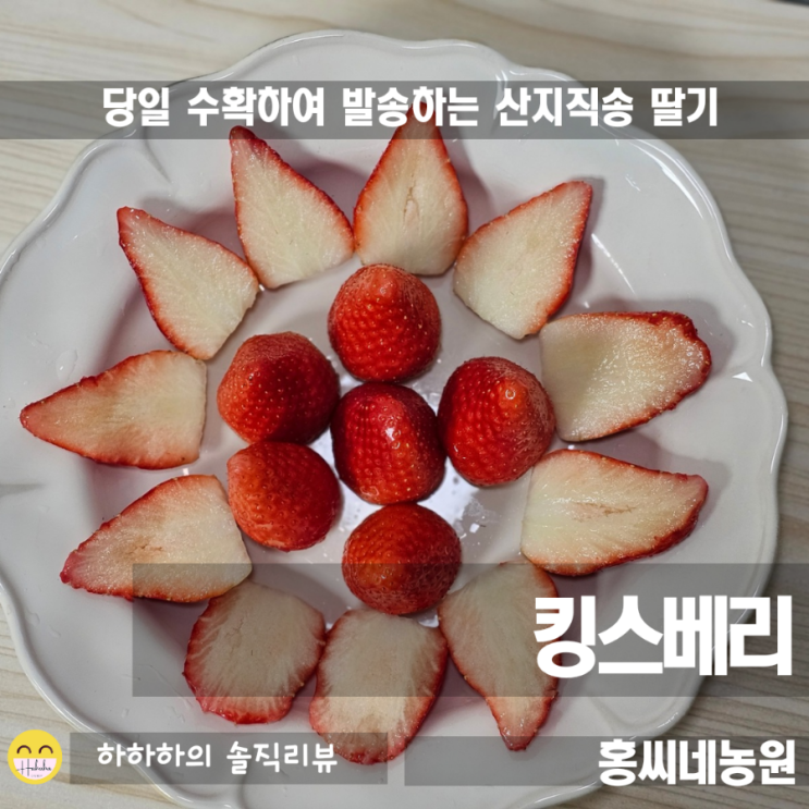  홍씨네농원 킹스베리 산지직송 설향딸기 전문 쇼핑몰 리뷰
