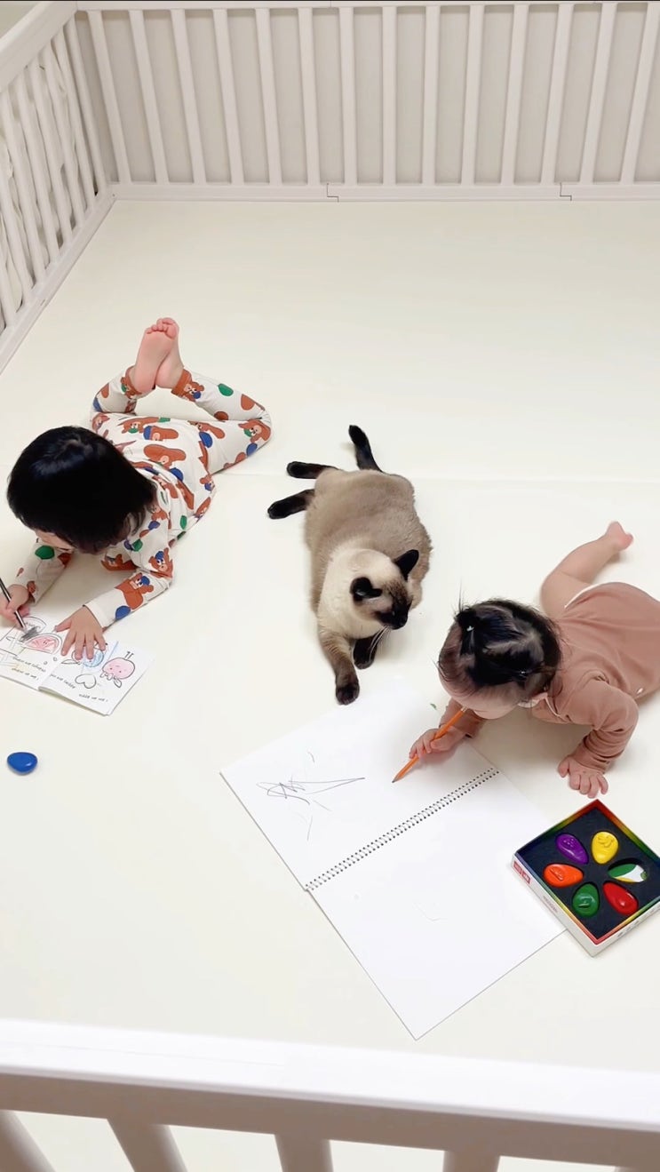  애둘맘 거실육아 필수템 best5 추천