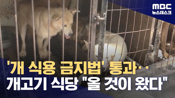  [NC/개고기키우기] 저니 오브 모나크 - 키워서 잡아먹는 개고기 요리
