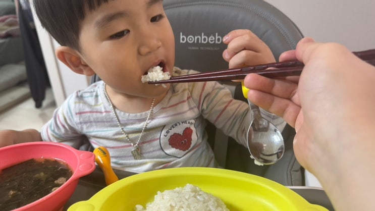 밥맛좋은쌀을 찾으신다면 정미소김씨 향진주쌀10kg